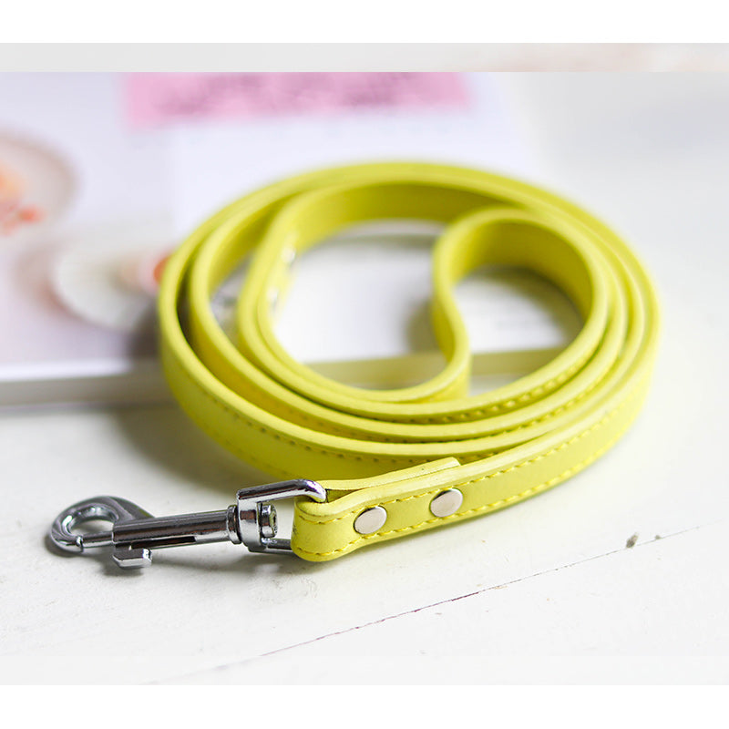 Adjustable Pet Leash And Collar Set For Outdoor Use