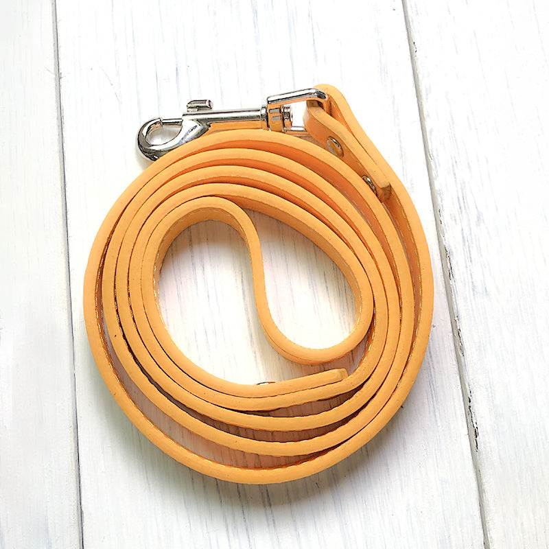 Adjustable Pet Leash And Collar Set For Outdoor Use