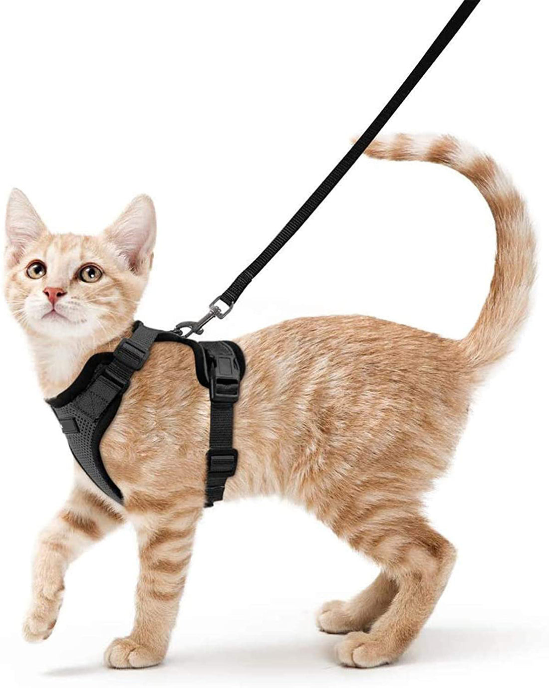 Adjustable Vest Style Pet Leash Anti Escape Design