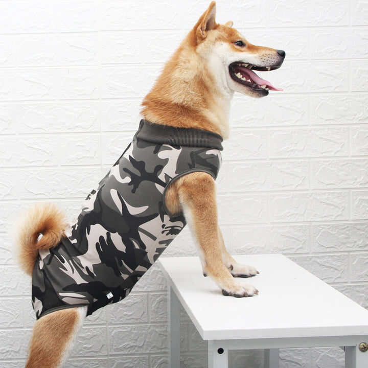 Pet Multi Color Fashion Clothing Casual Apparel