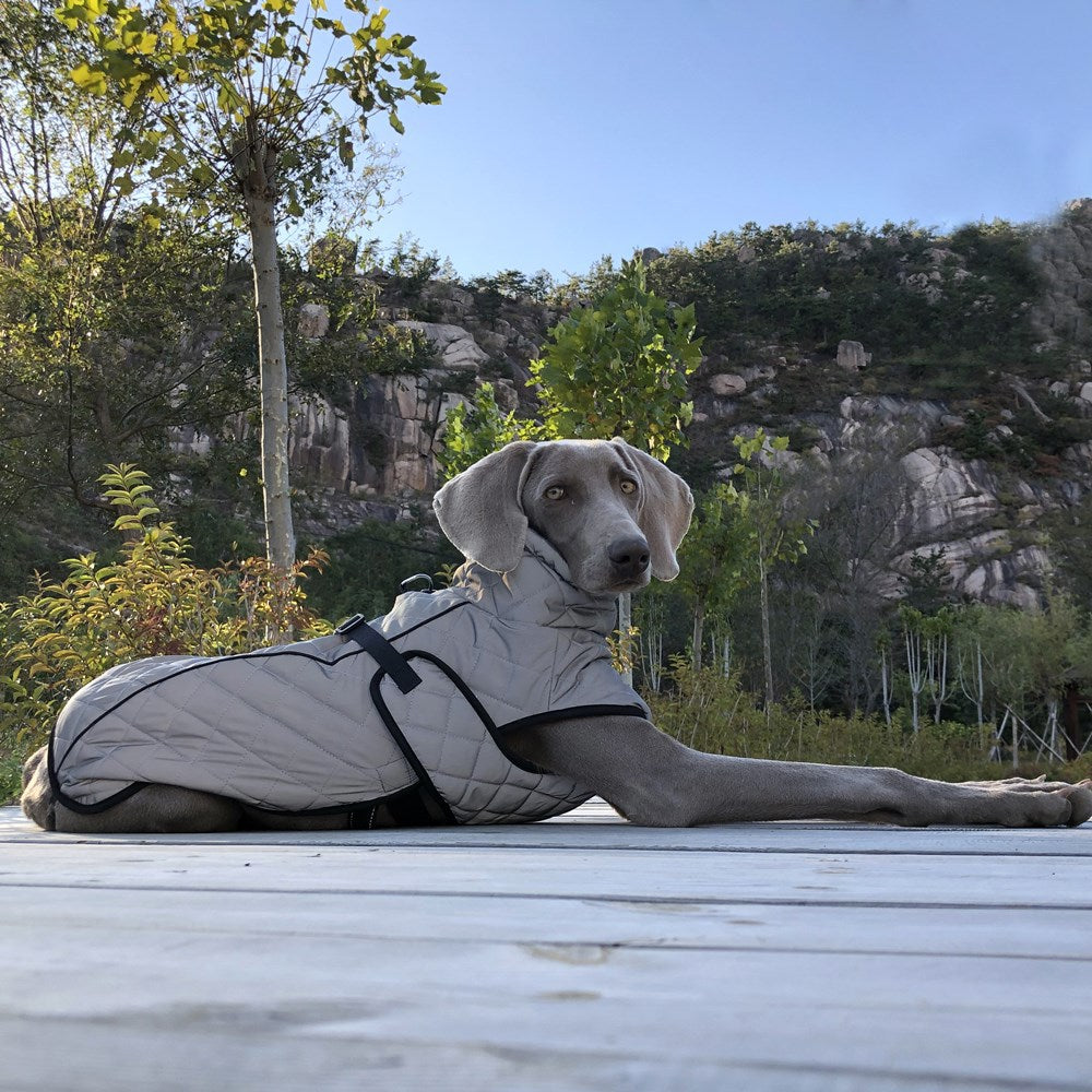 Pet Reflective Tactical Jacket Full Body Safety Apparel