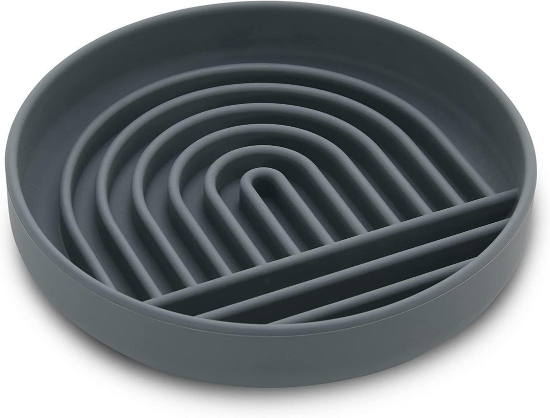 Pet Slow Feeding Bowl Simple Fashion Anti Choking Dish