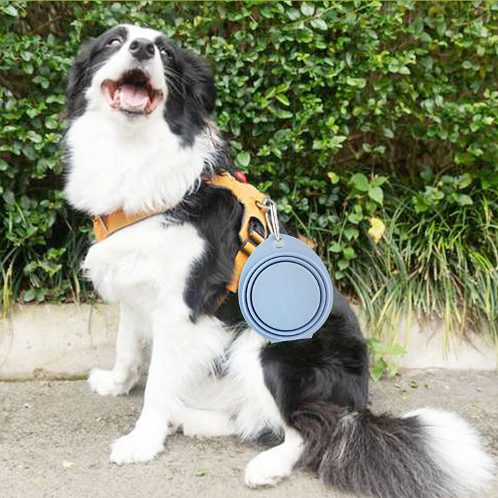 Pet Silicone Foldable Portable Outdoor Feeding Bowl