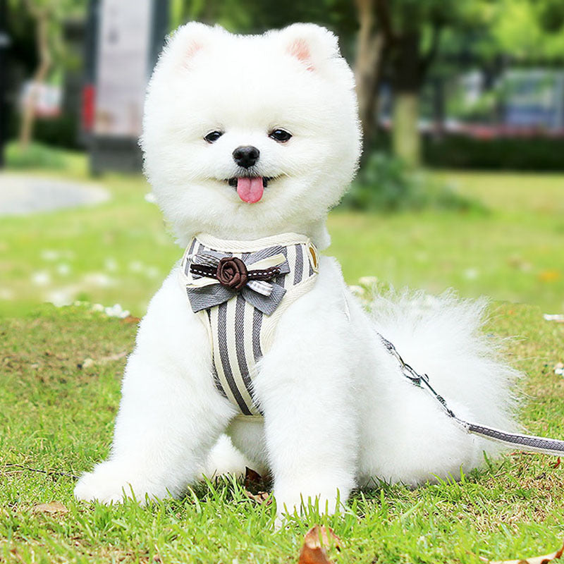 Vest Style Pet Chest Strap Leash For Outdoor Use