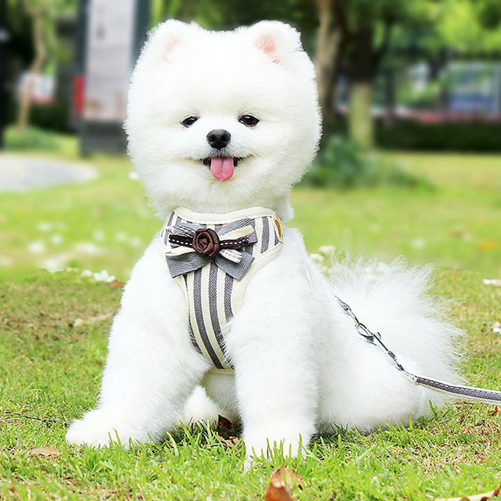 Vest Style Pet Chest Strap Leash For Outdoor Use