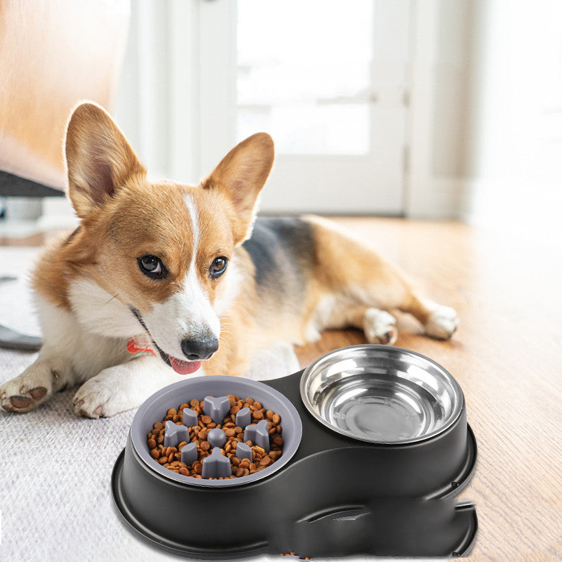 Pet Slow Feeding Bowl Removable Anti-Overflow Design