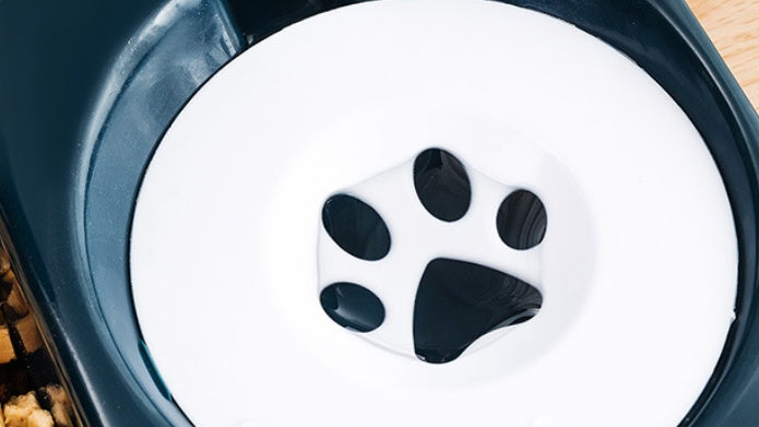 Pet Automatic Feeding Bowl Combined Food Water Dispenser