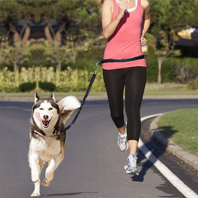 Adjustable Pet Harness And Leash For Jogging Use
