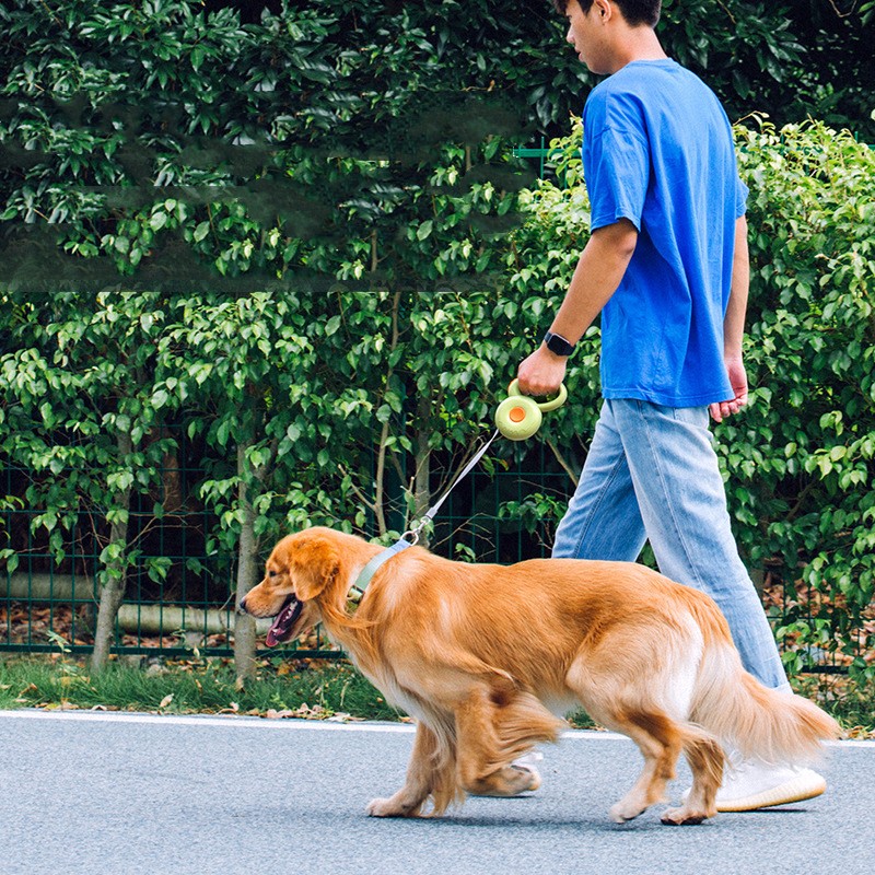 Retractable Reflective Pet Leash For Outdoor Walking