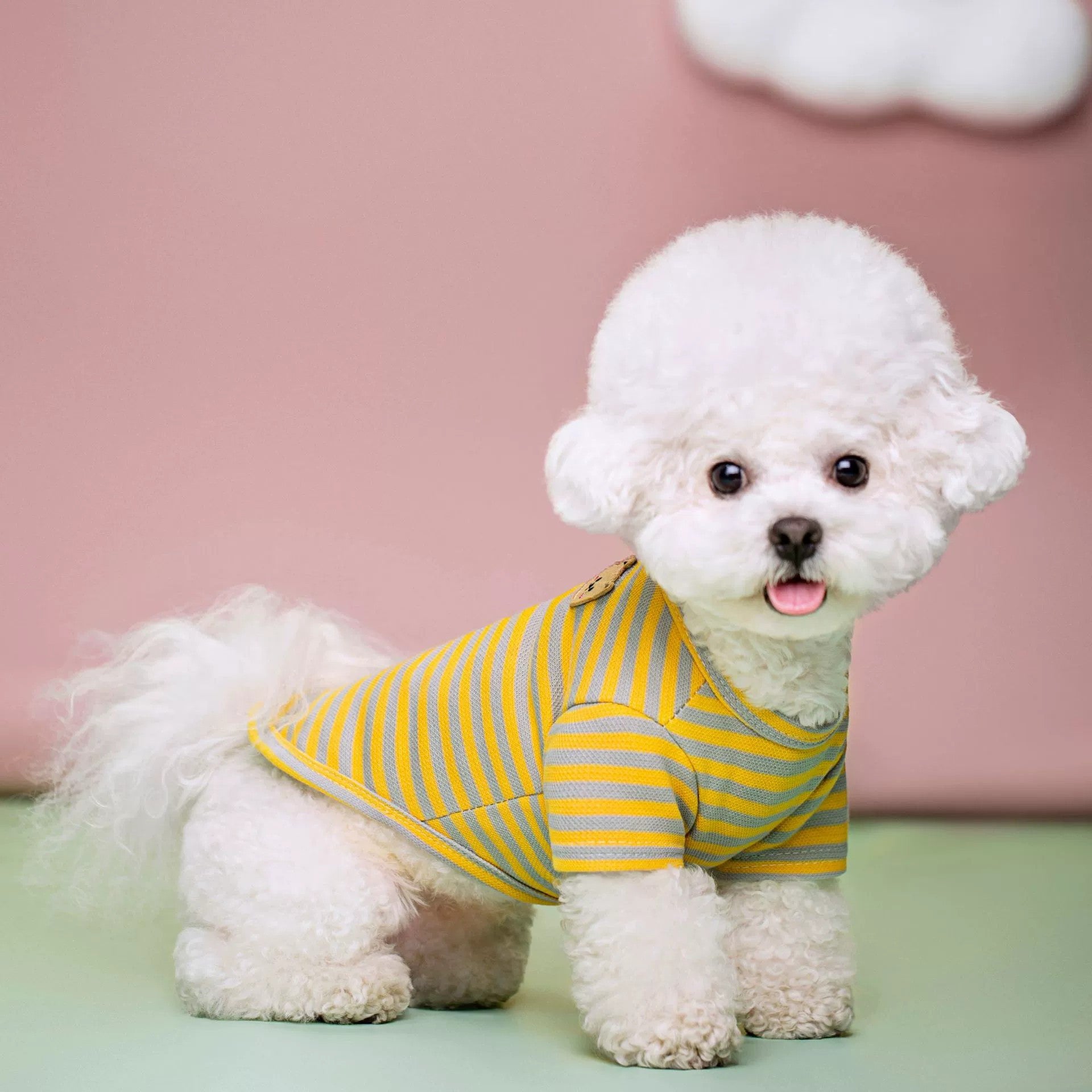 Breathable Pet Summer T Shirt For Outdoor Comfort