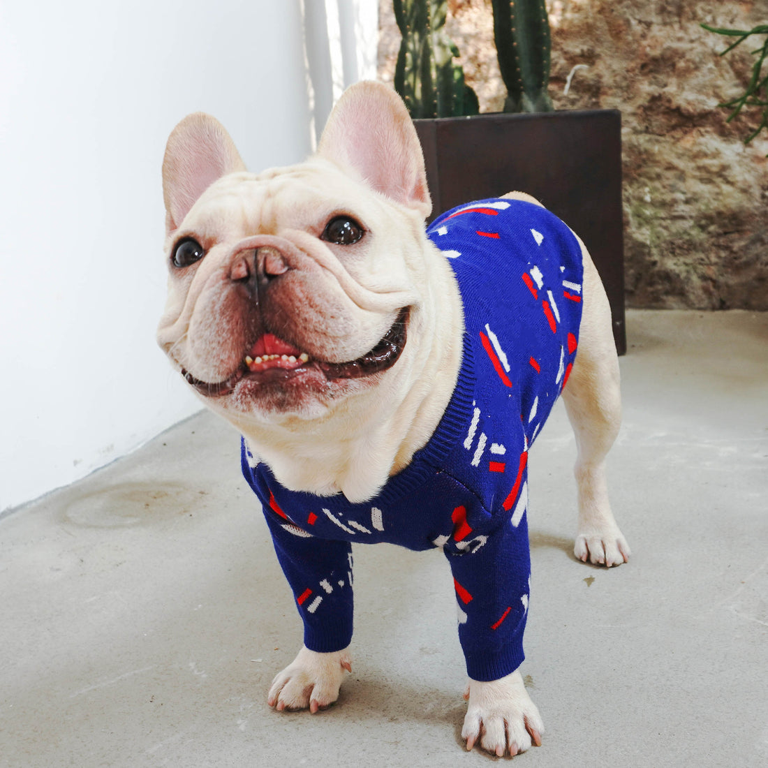 Pet Knitted Sweater Warm Winter Clothing
