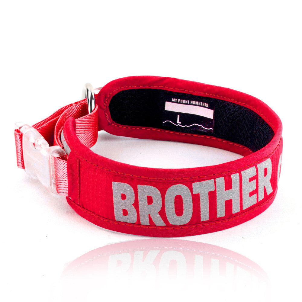 Heavy Duty Pet Chest Strap Leash With Storage Bag