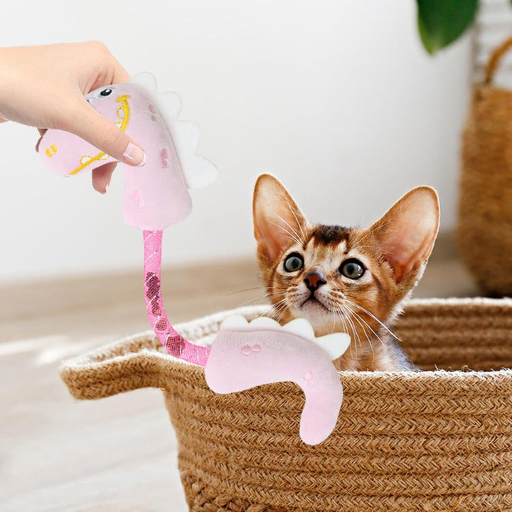 Catnip Rope Spring Chew Teeth Cleaning Interactive Pet Toy