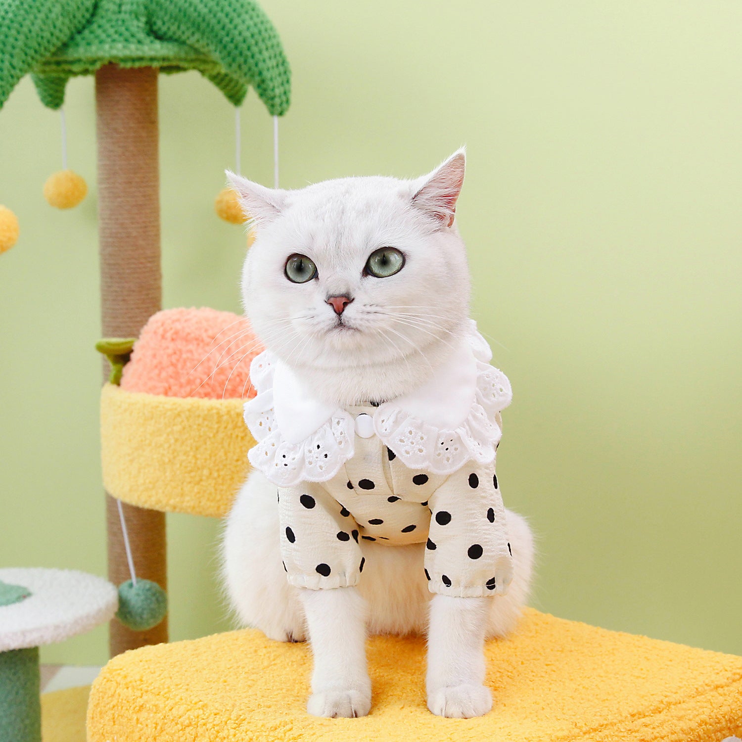 Pet Blue T-Shirt Casual Clothing Apparel