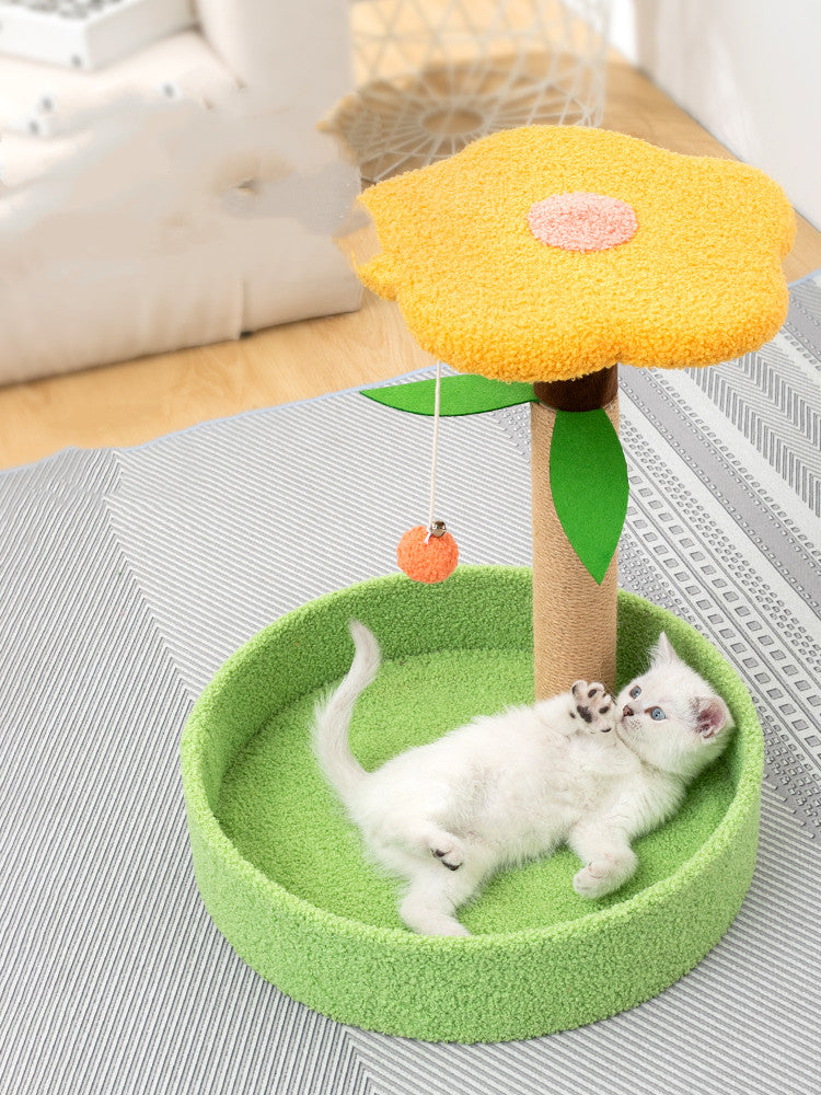 Claw Grinding Interactive Teasing Pet Toy