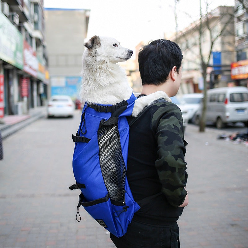 Portable Pet Backpack Carrier For Outdoor Travel Use