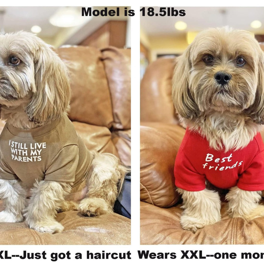 Pet Round Neck T-Shirt Casual Clothing Apparel
