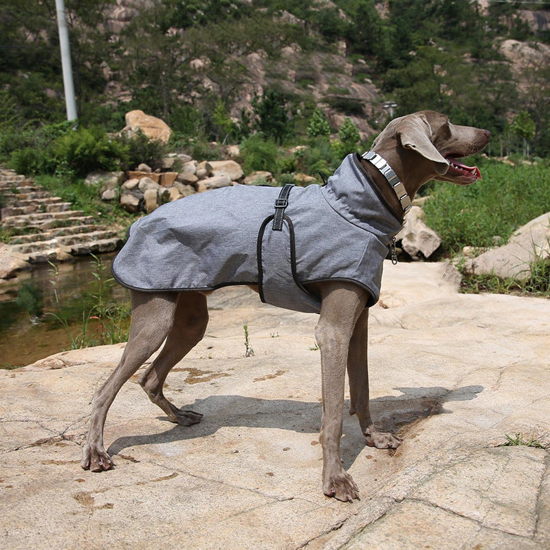 Pet Winter Shell Jacket Outdoor Ski Suit Apparel