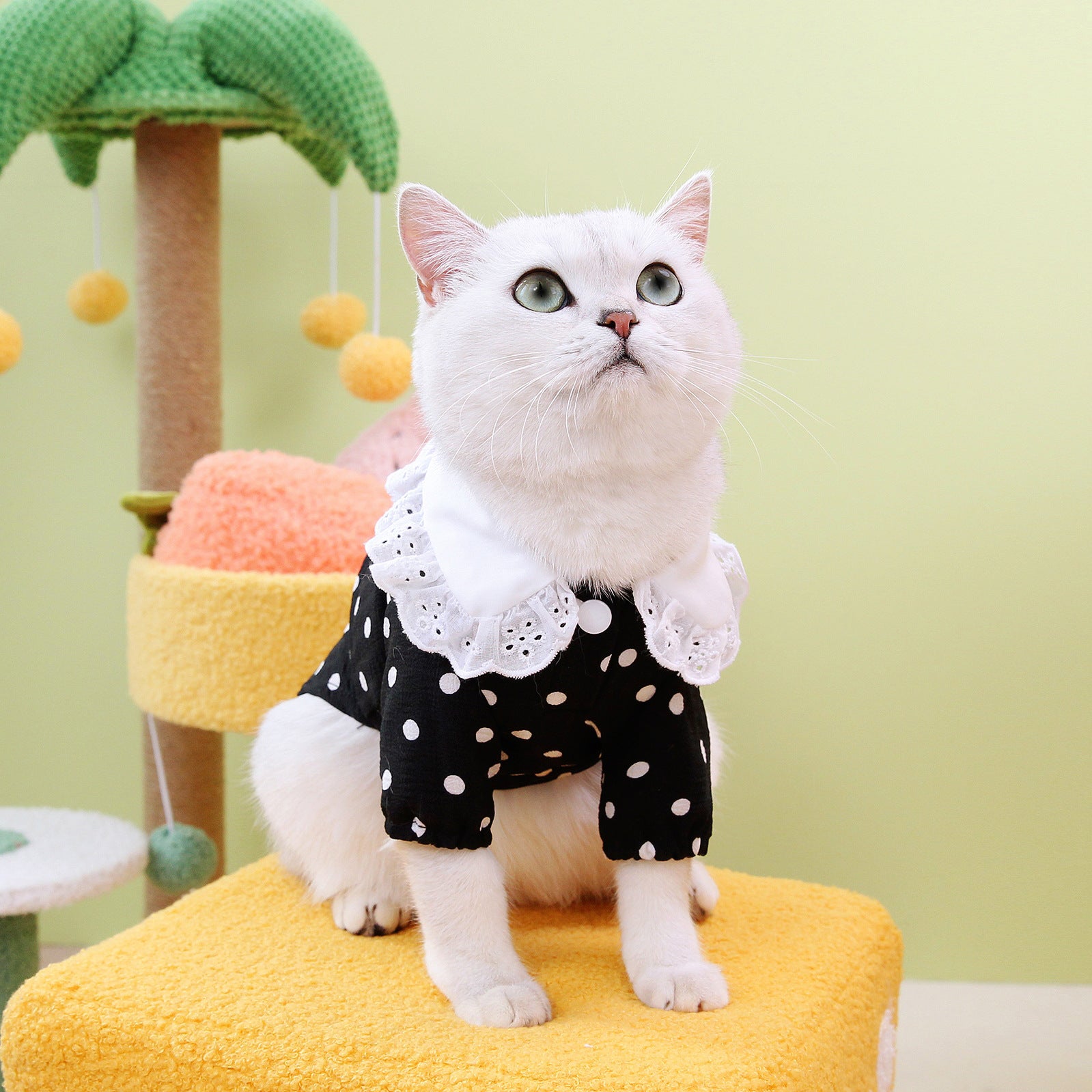 Pet Blue T-Shirt Casual Clothing Apparel