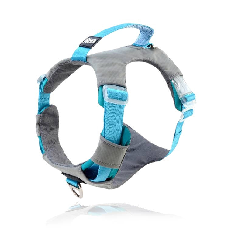 Heavy Duty Pet Chest Strap Leash With Storage Bag