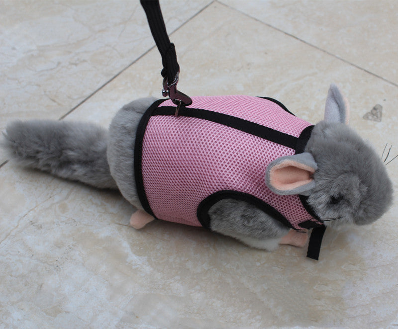 Adjustable Pet Leash For Small Pets And Outdoor Use