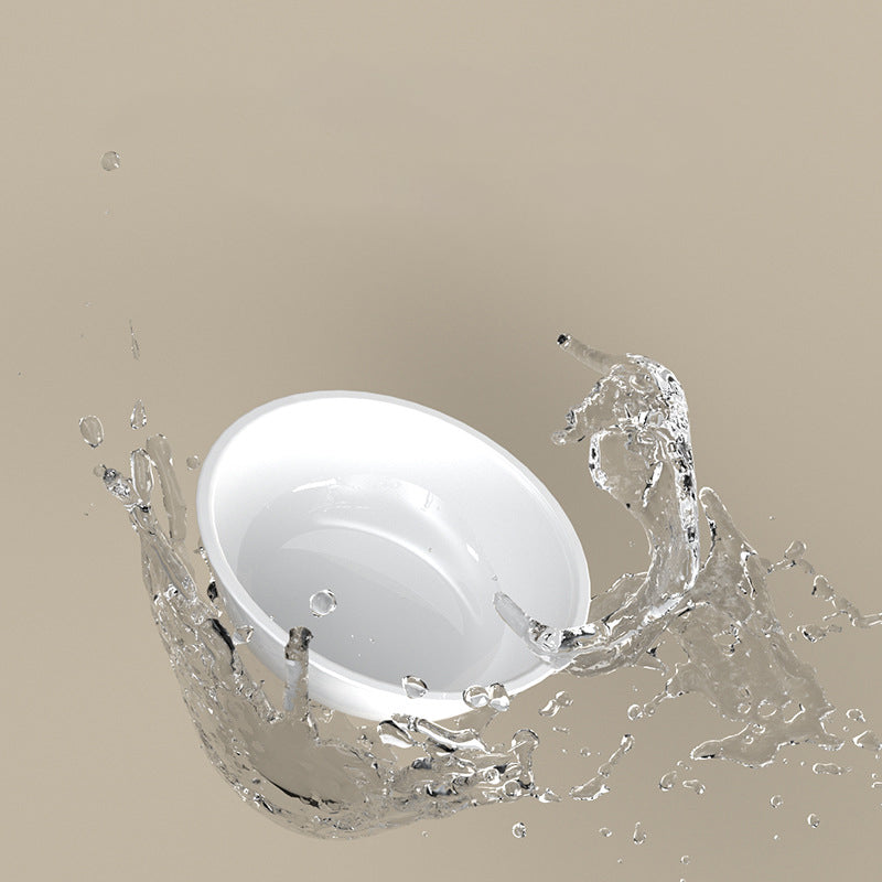Pet Tilted Stainless Steel Feeding Bowl Neck Protection Design