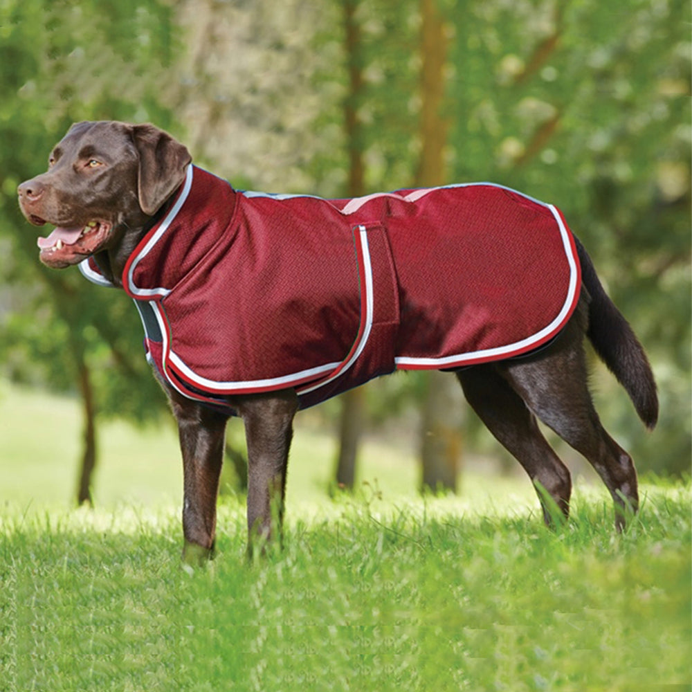 Pet Waterproof Jacket Warm Autumn Winter Leisure Apparel