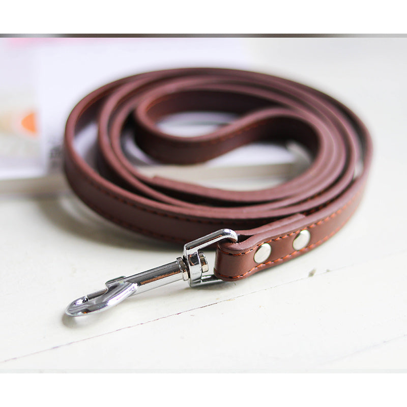 Adjustable Pet Leash And Collar Set For Outdoor Use