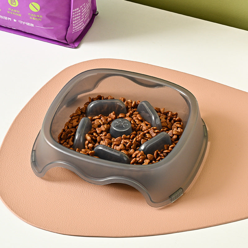 Pet Slow Feeding Anti Choking Water Bowl Feeding Dish
