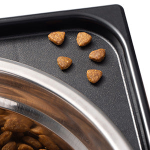 Pet Lifting Feeding Bowl Neck Protection Anti-Tumble Design