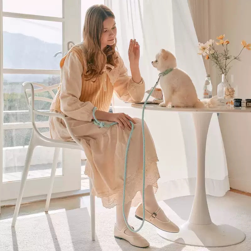 Leather Pet Collar And Handheld Leash For Small Medium Pets