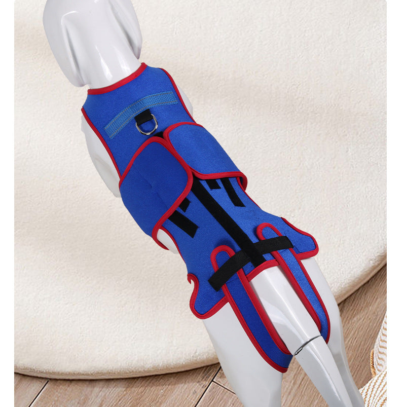 Pet Spine Support Jacket Posture Correction Apparel