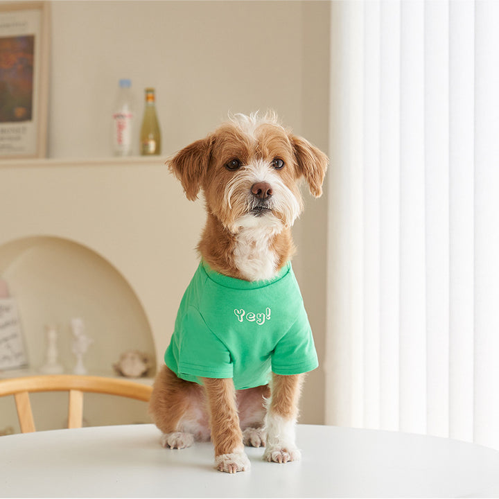 Pet Cotton T-Shirt Short Sleeve Color Print Apparel