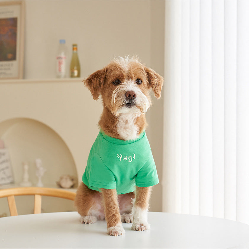 Pet Cotton T-Shirt Short Sleeve Color Print Apparel