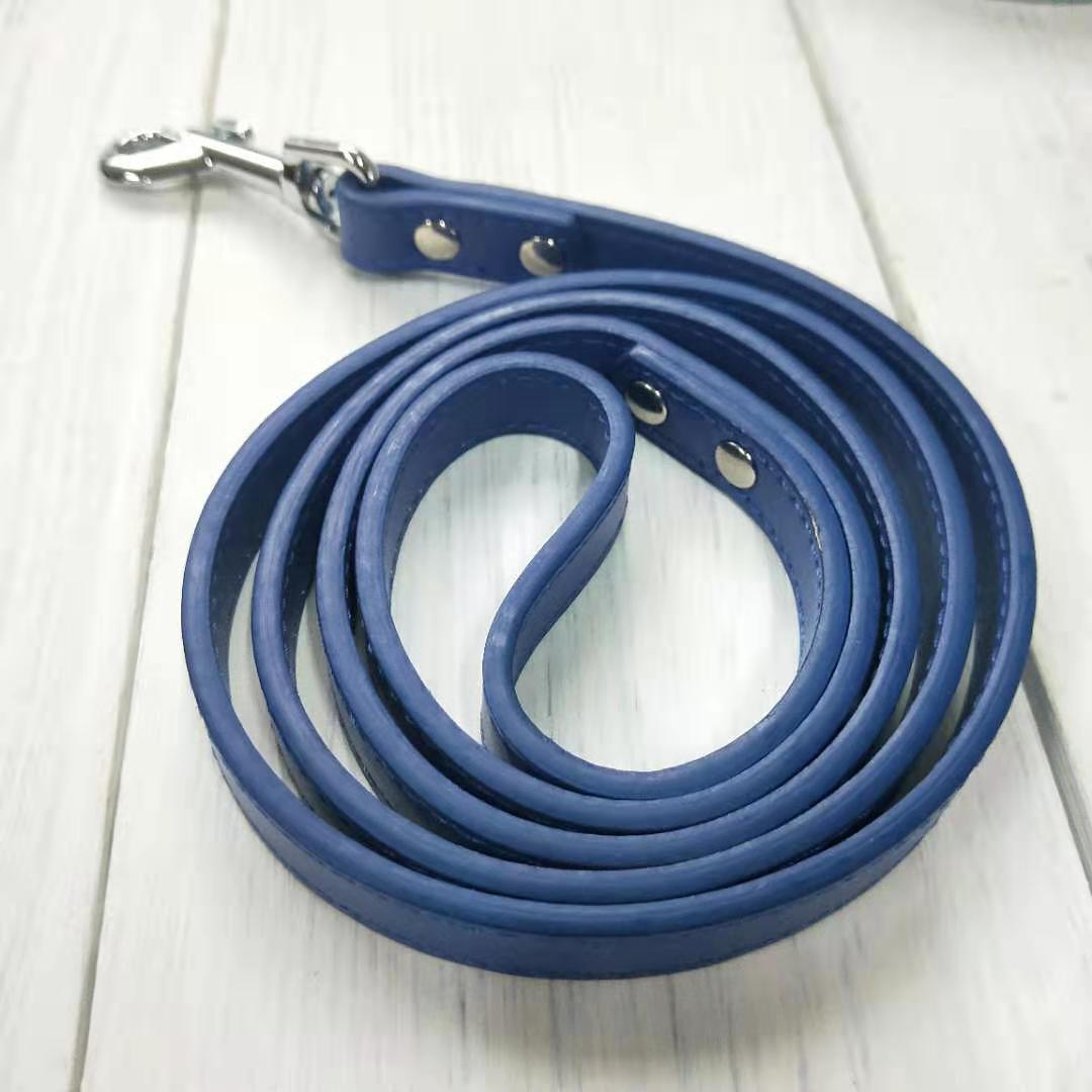 Adjustable Pet Leash And Collar Set For Outdoor Use