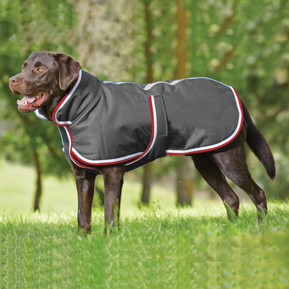 Pet Waterproof Jacket Warm Autumn Winter Leisure Apparel