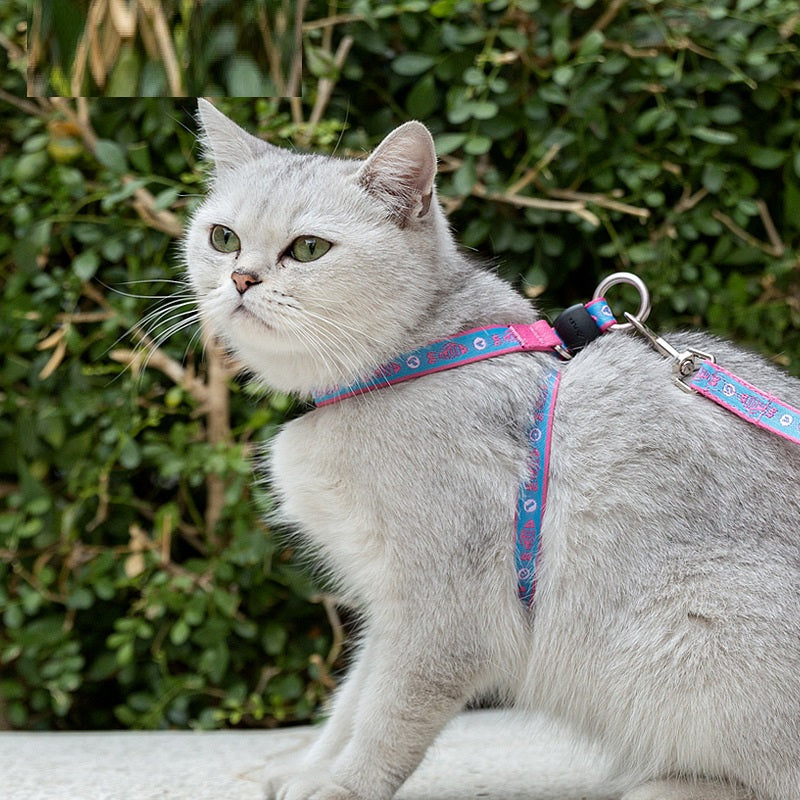 Adjustable Pet Harness And Leash Set With Bell