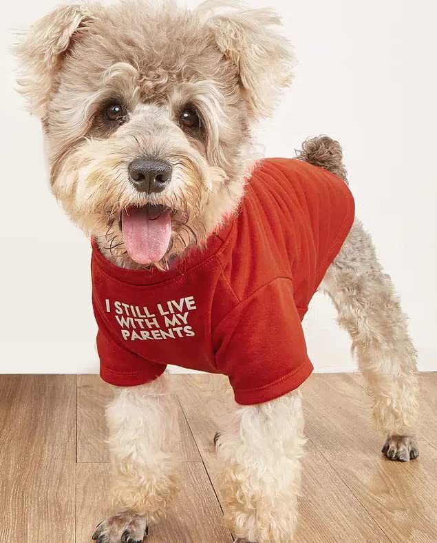 Pet Round Neck T-Shirt Casual Clothing Apparel