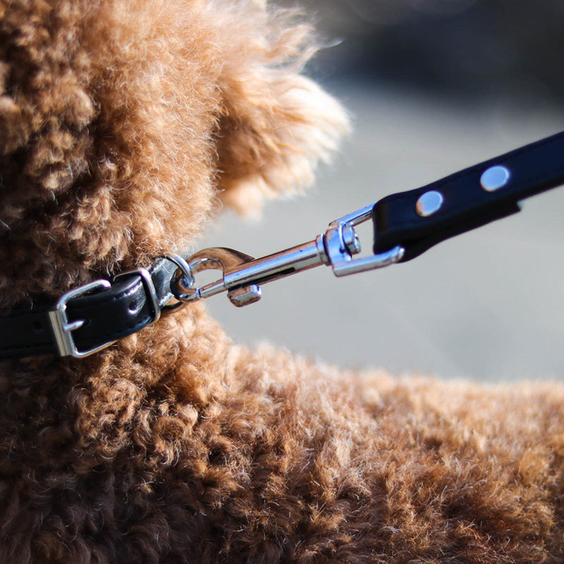 Adjustable Pet Leash And Collar Set For Outdoor Use