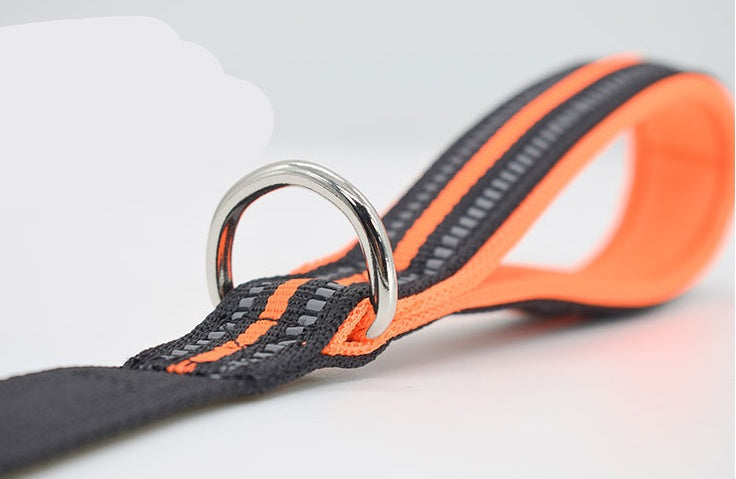Nylon Retractable Pet Leash For Assisted Walking Control