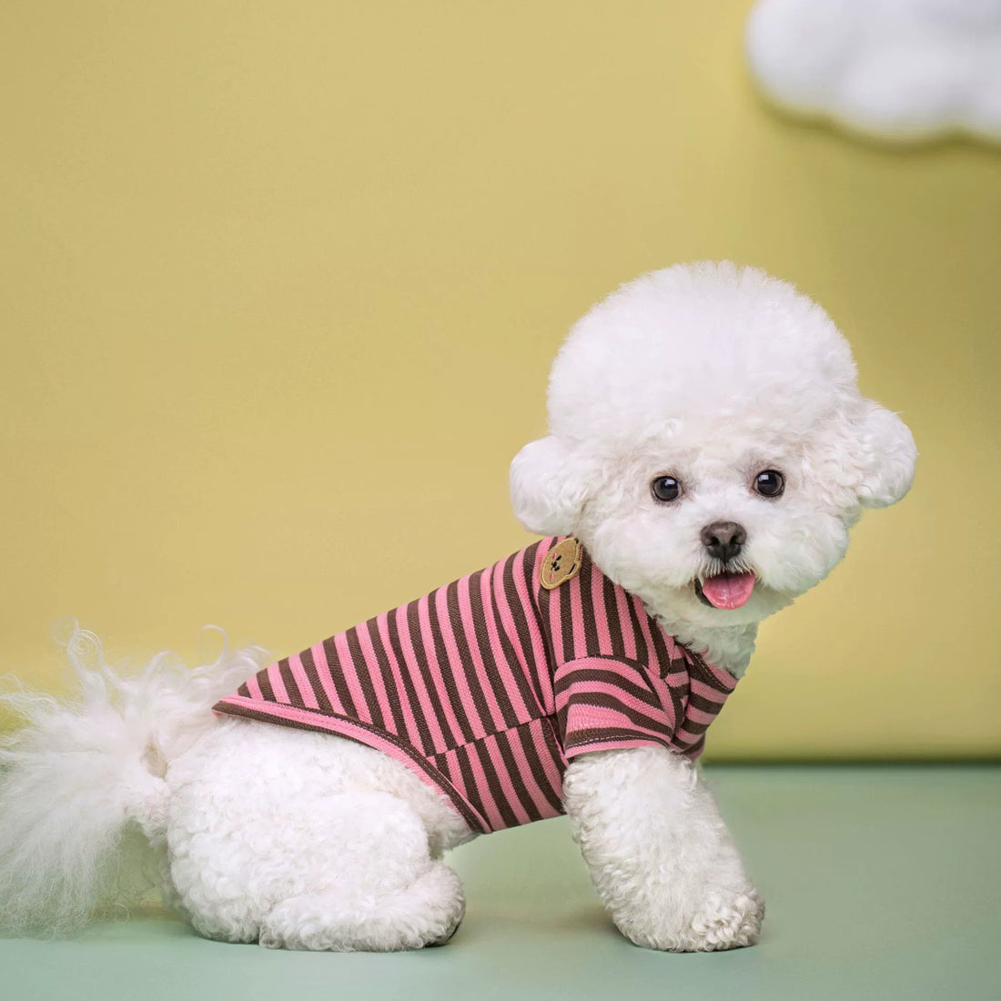 Breathable Pet Summer T Shirt For Outdoor Comfort