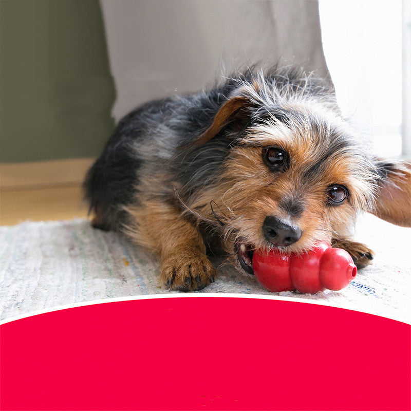 Bite Resistant Rubber Pet Chewing Grinding Toy