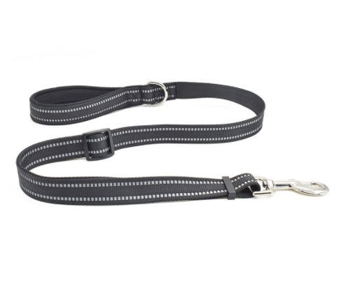 Nylon Retractable Pet Leash For Assisted Walking Control