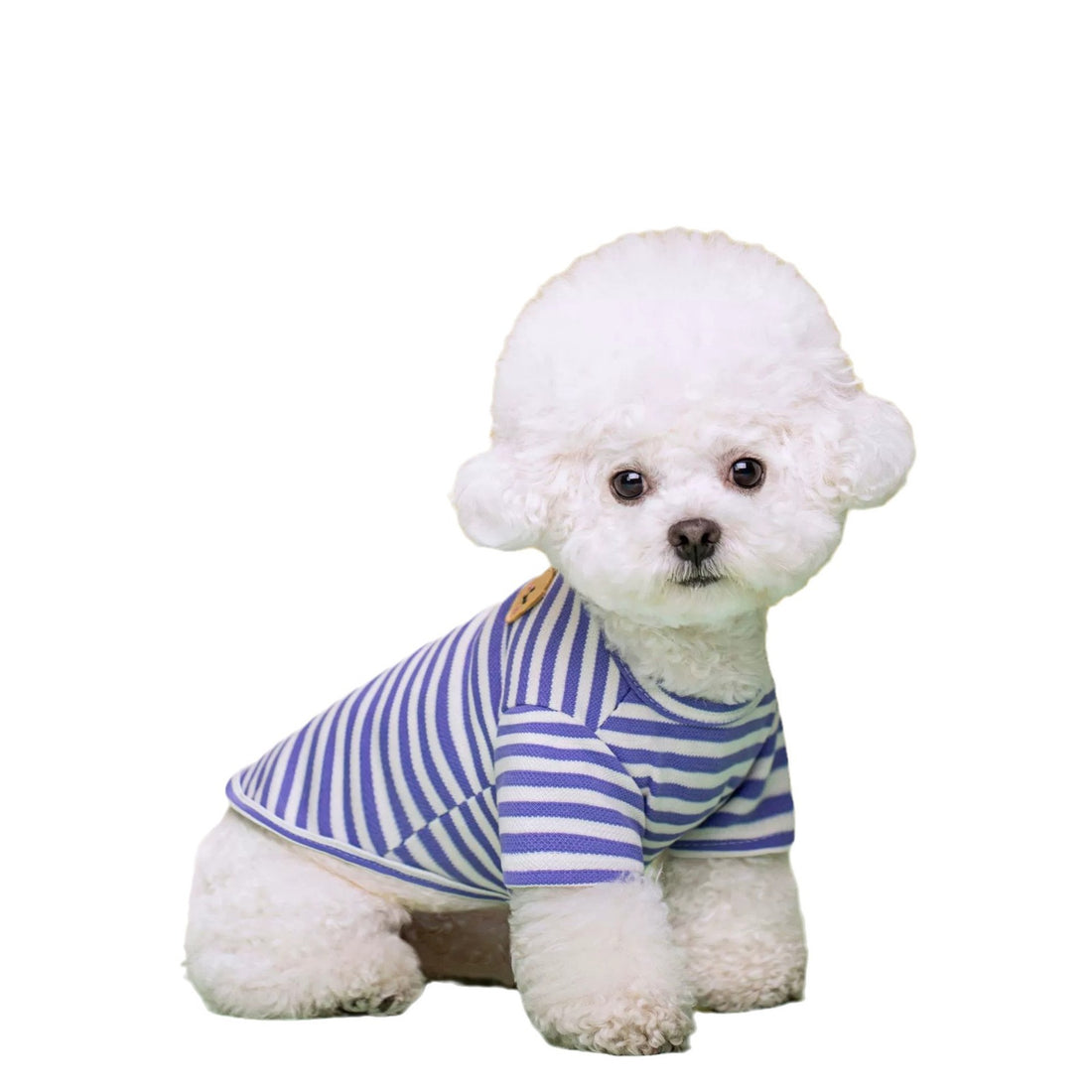 Breathable Pet Summer T Shirt For Outdoor Comfort