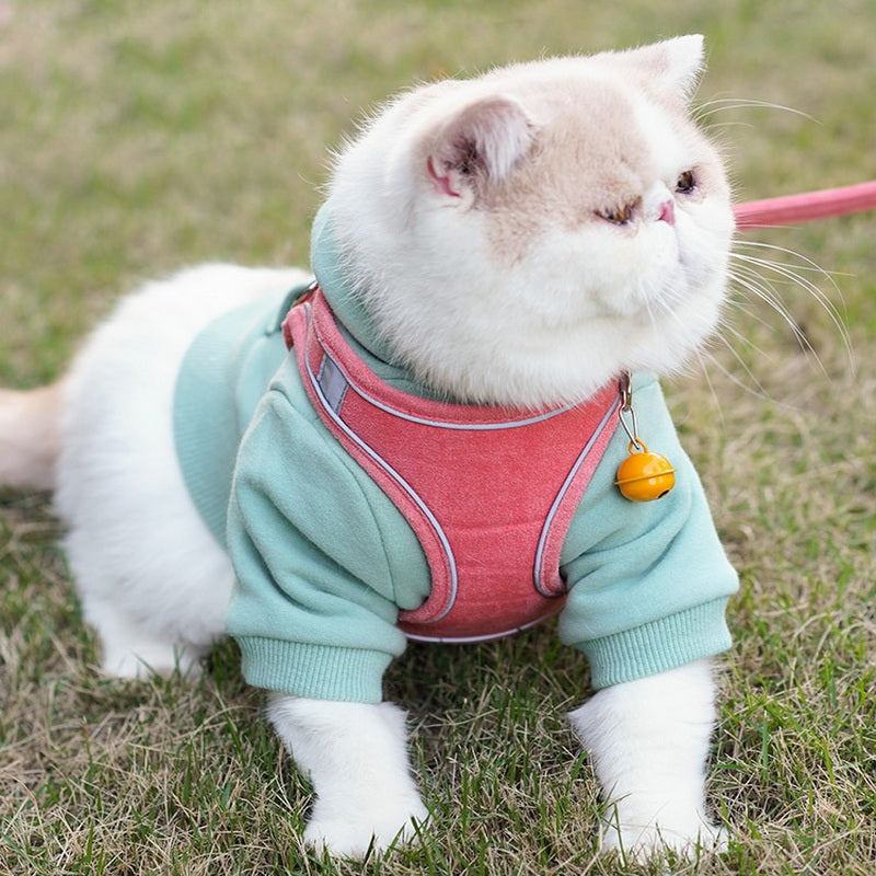 Vest Style Pet Chest Harness Leash For Outdoor Use