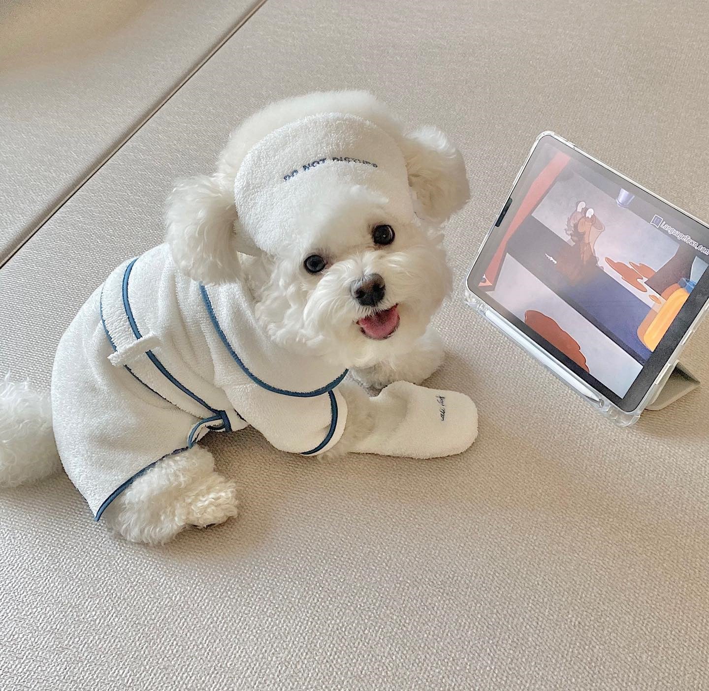 Pet Bath Towel Bathrobe Photo Prop Hotel Use