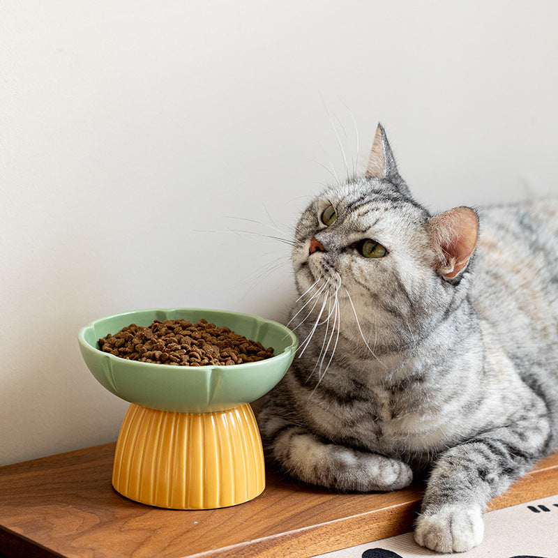 Pet Macaron Style Ceramic Feeding Bowl Candy Colors