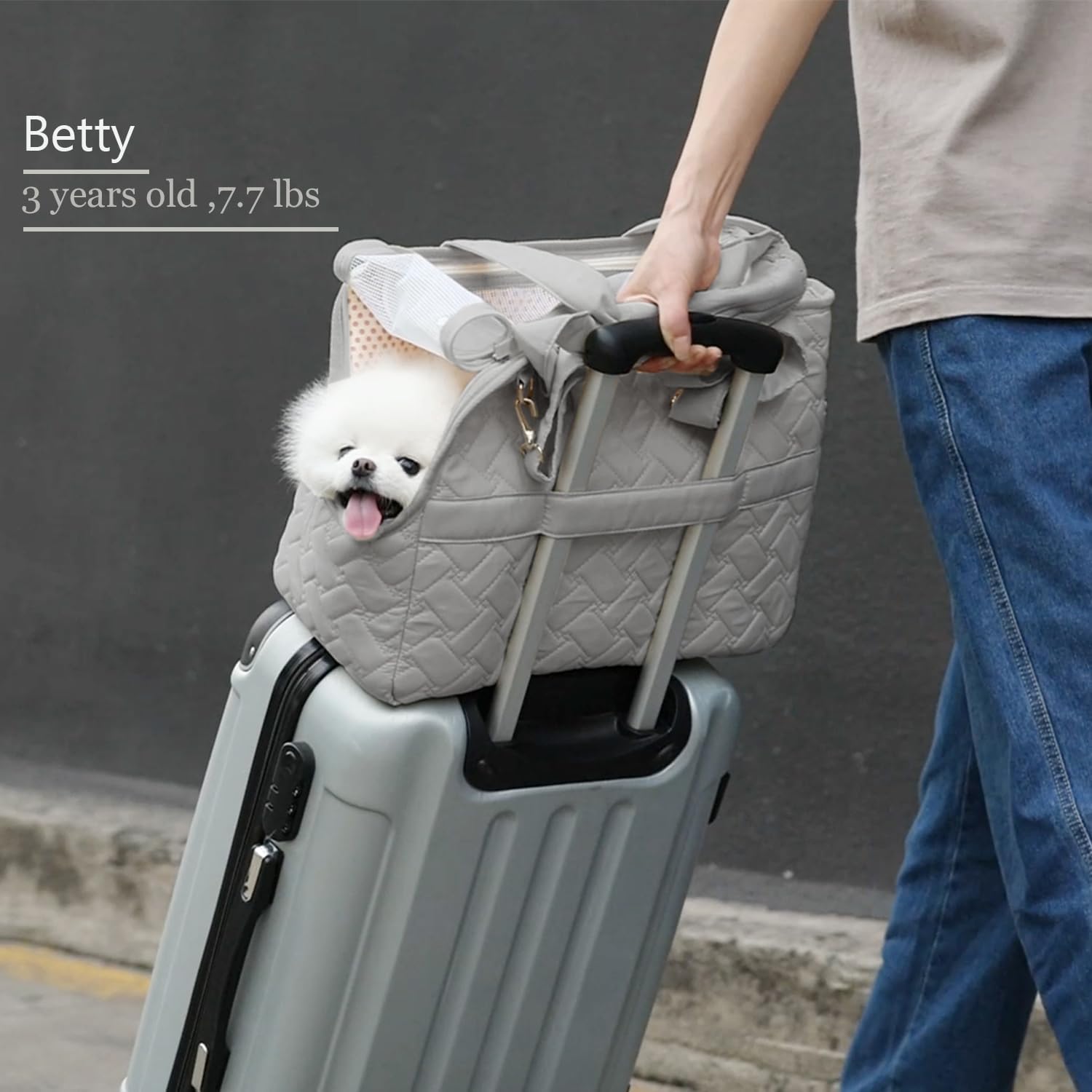 Breathable Pet Carrier Handbag With Pockets And Cushion Travel