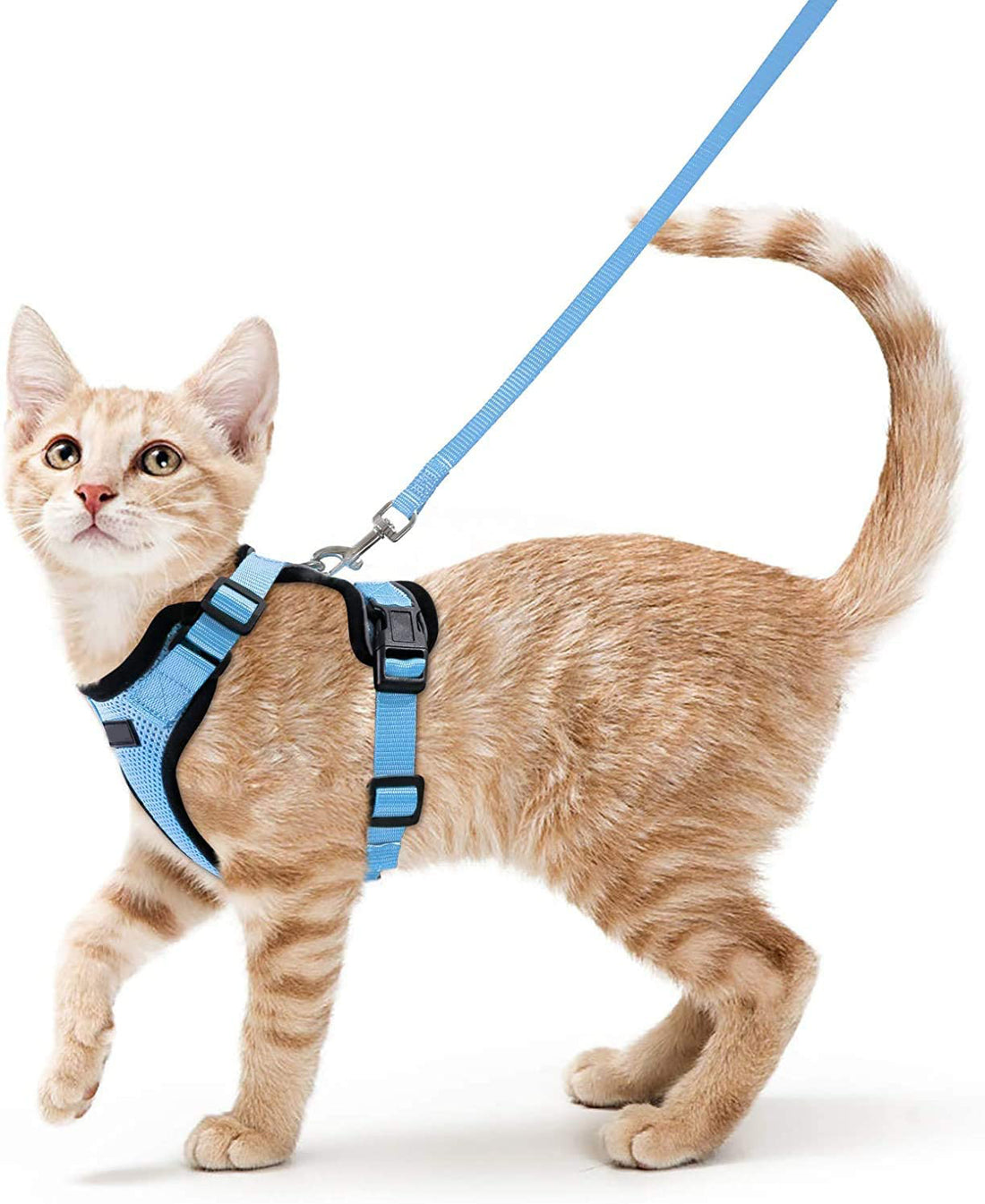 Adjustable Vest Style Pet Leash Anti Escape Design