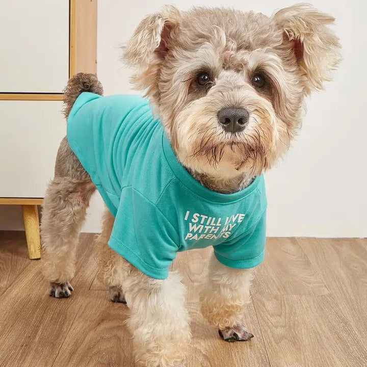 Pet Round Neck T-Shirt Casual Clothing Apparel